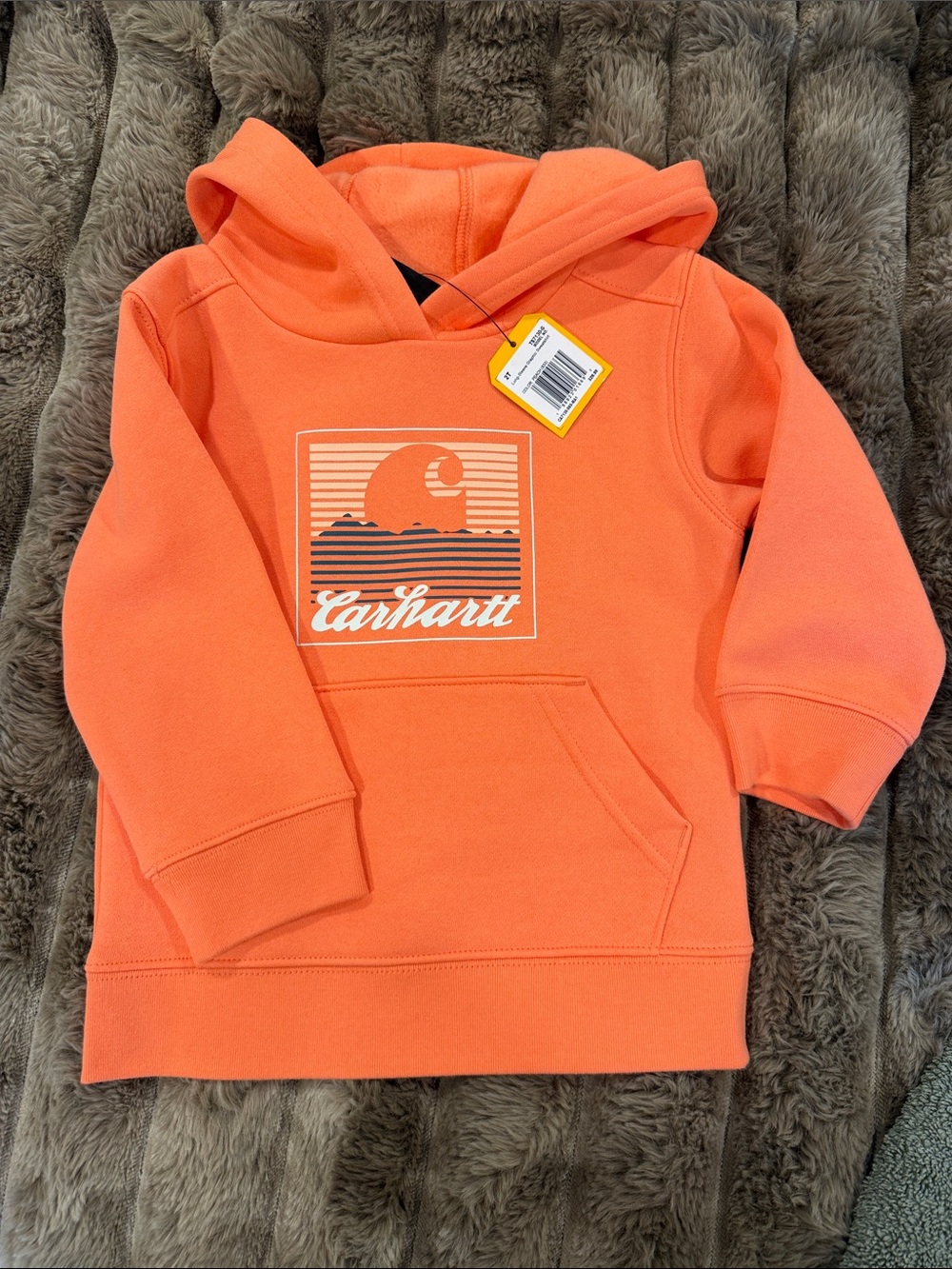 Carhartt Kids' Coral Orange Graphic Pullover Hoodie